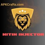 nitin-injector